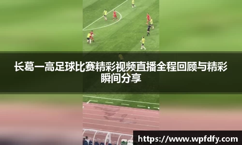 杏彩娱乐官方网站