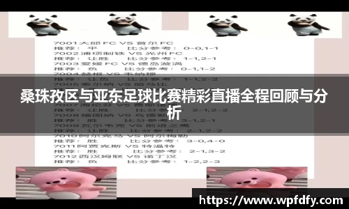桑珠孜区与亚东足球比赛精彩直播全程回顾与分析