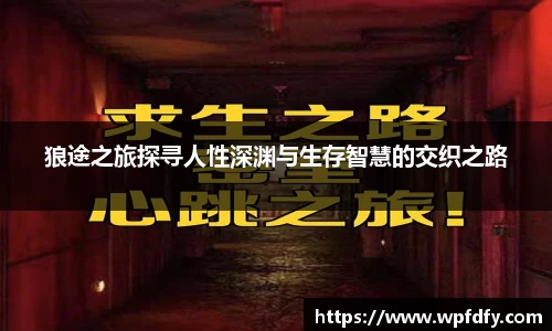 狼途之旅探寻人性深渊与生存智慧的交织之路