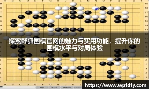 探索野狐围棋官网的魅力与实用功能，提升你的围棋水平与对局体验