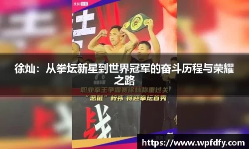 徐灿：从拳坛新星到世界冠军的奋斗历程与荣耀之路
