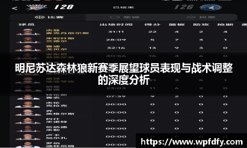 明尼苏达森林狼新赛季展望球员表现与战术调整的深度分析