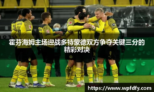 霍芬海姆主场迎战多特蒙德双方争夺关键三分的精彩对决