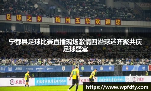 宁都县足球比赛直播现场激情四溢球迷齐聚共庆足球盛宴